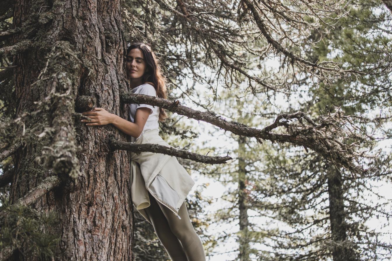 Blogbeitrag_10_Zirbe Blogbeitrag_10_Zirbe