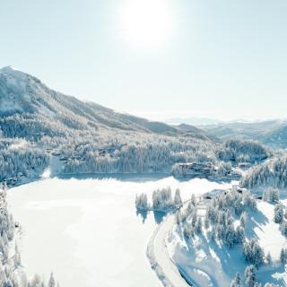 web