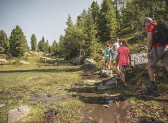 shj-familie-wandern-05 shj-familie-wandern-05