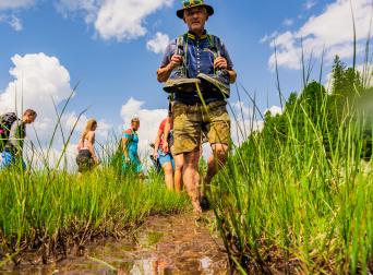 Turrach Edit Rest-417 Turrach Edit Rest-417