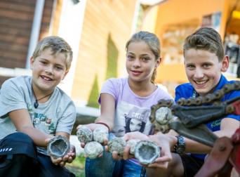 KPH_3632-1 KPH_3632-1