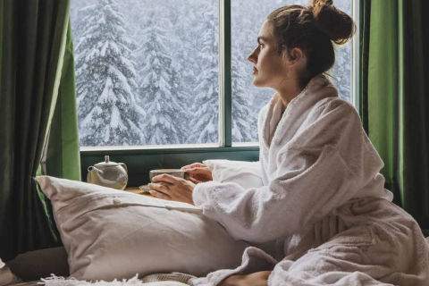 WINTER FENSTERLN