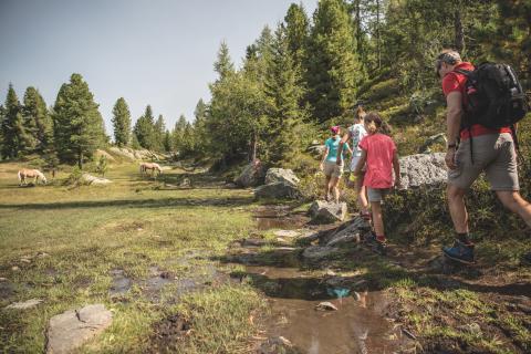 shj-familie-wandern-05