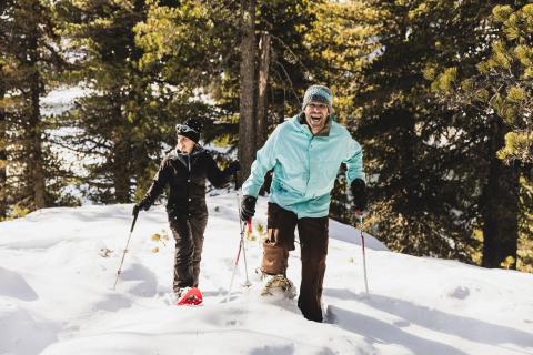 Herumhirschen. Winterwandern Herumhirschen. Winterwandern