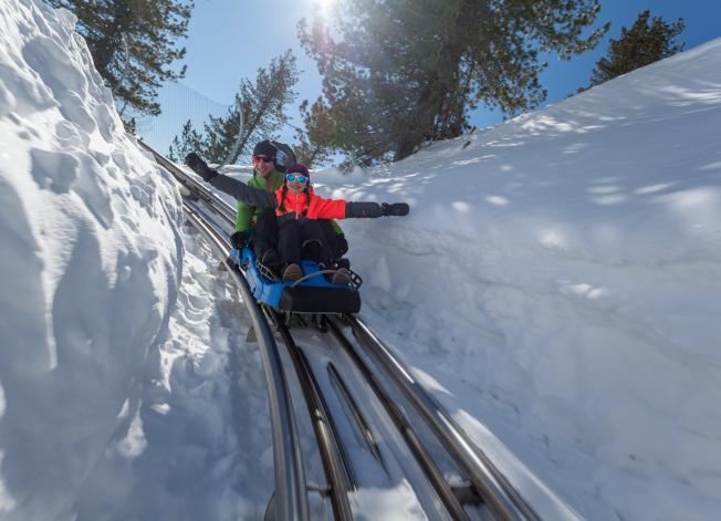 Nocky Flitzer im Schnee