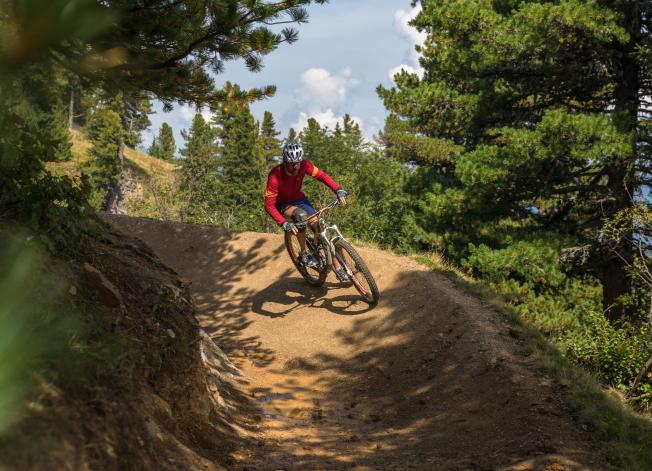 Kornocktrail Wald_Attisani