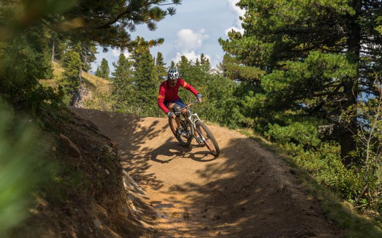 Kornocktrail Wald_Attisani