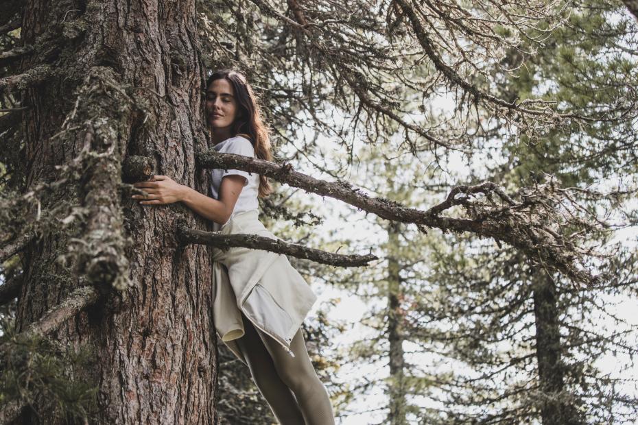 Blogbeitrag_10_Zirbe Blogbeitrag_10_Zirbe