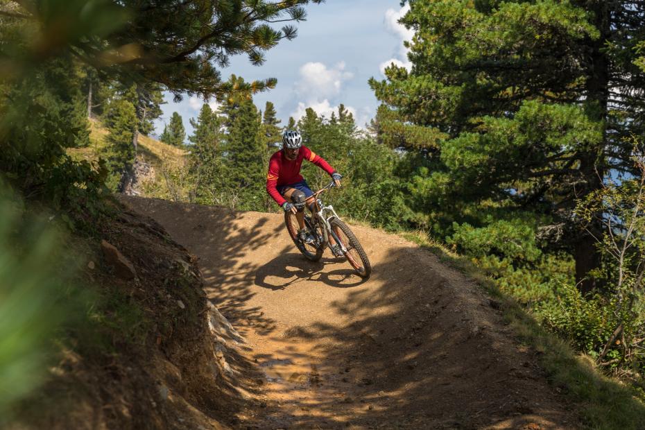 Kornocktrail Wald_Attisani